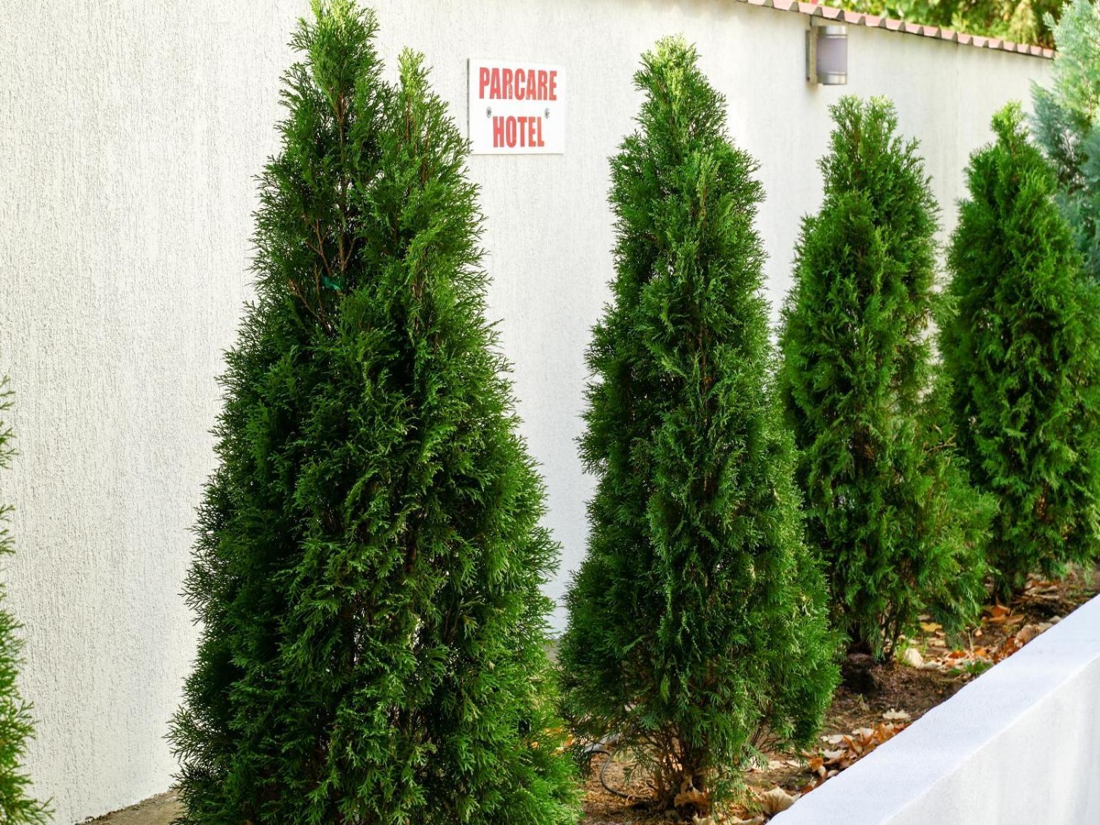 Hotel Criss Βουκουρέστι Εξωτερικό φωτογραφία